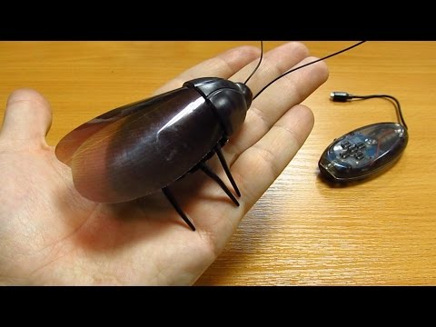 Робот жук на радио управлении из Китая!