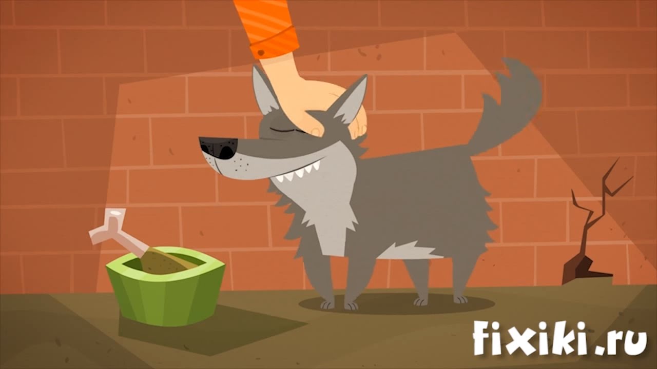Фиксики - История вещей - Собаки | Образовательные мультики для детей