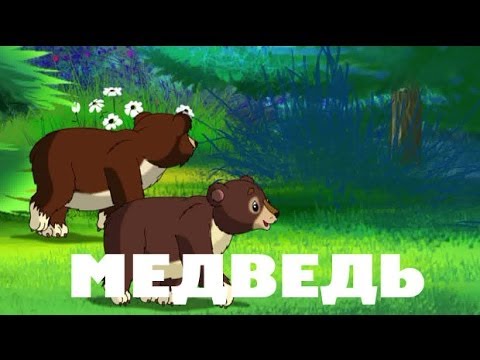 Уроки Тетушки Совы - Уроки живой природы (Медведь)
