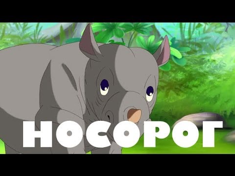 Уроки Тетушки Совы - Уроки живой природы (Носорог)
