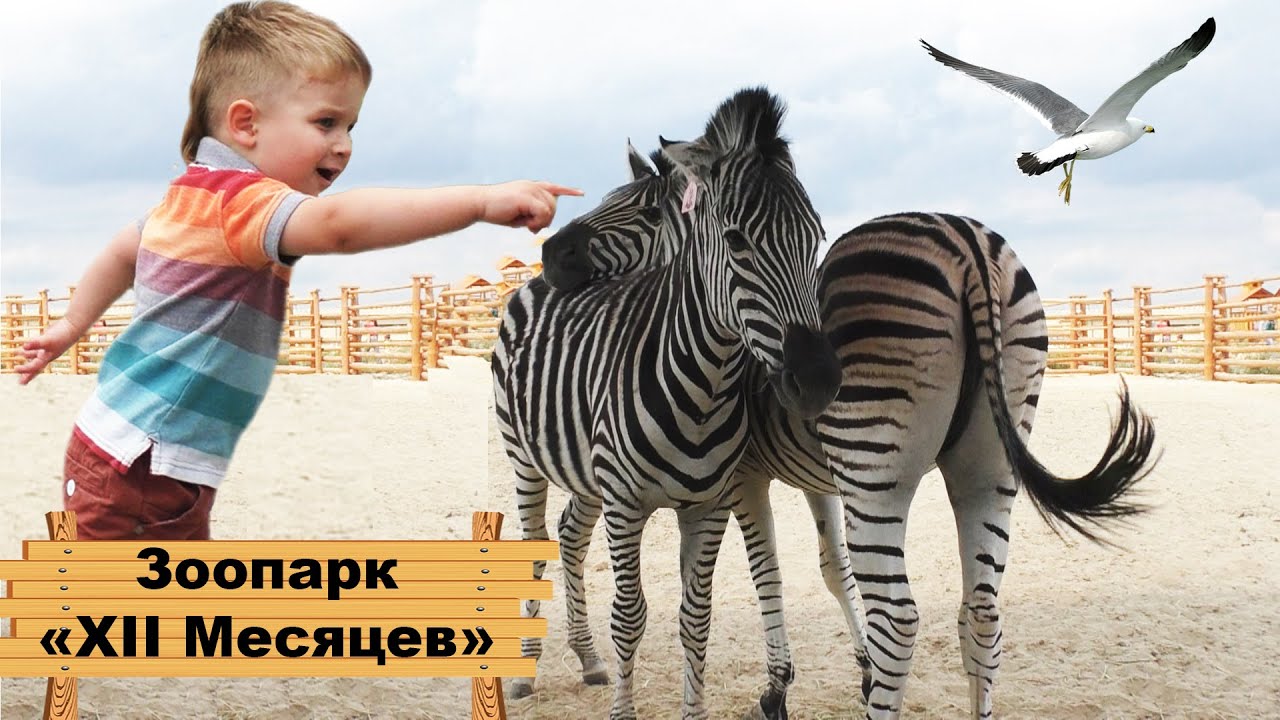 ★ Зоопарк 12 месяцев Демидов Киев Happy Kids At The &quot;12 Month&quot; Kiev Zoo
