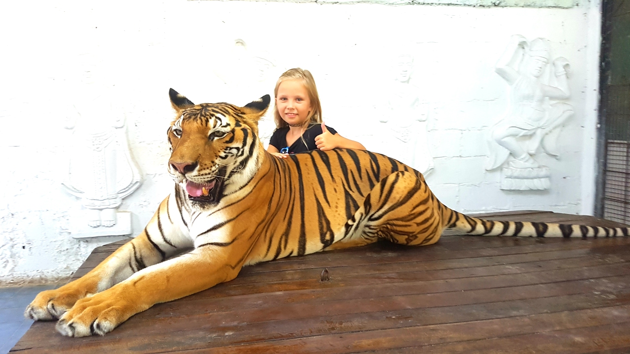 Дети поймали тигра !