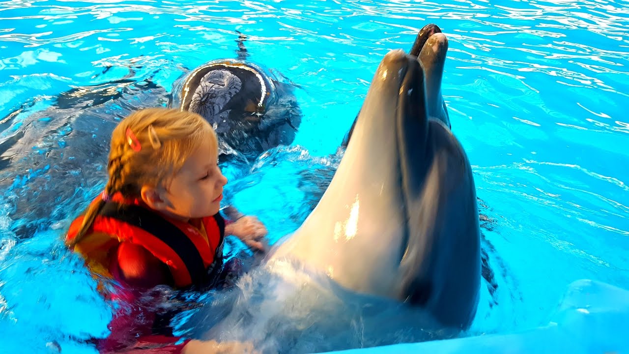 Николь плавает с дельфинами
