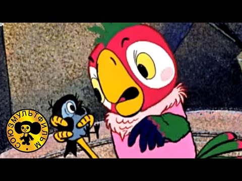 Попугай Кеша - Возвращение блудного попугая 1