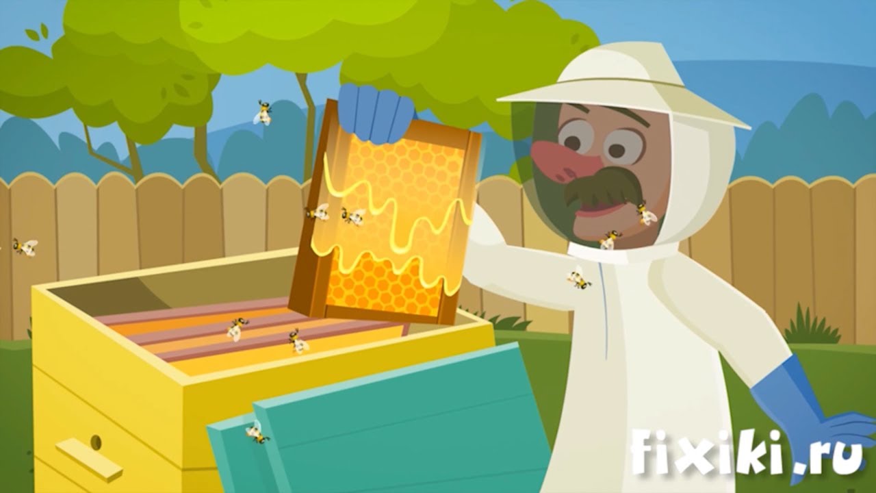 Фиксики - История вещей - Пчеловодство | Образовательные мультики для детей