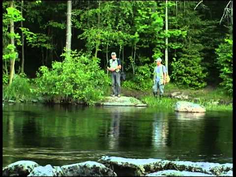 Диалоги о рыбалке - Финляндия Форель на спиннинг