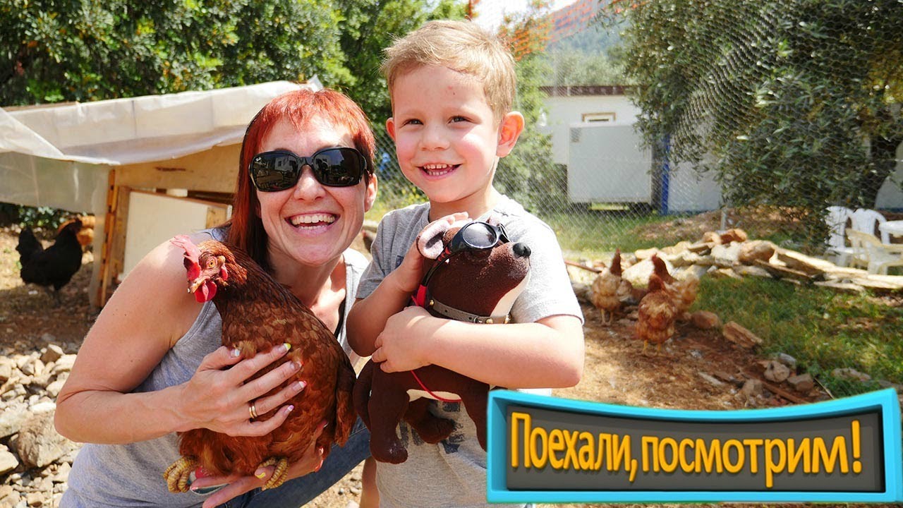 Приключения на ферме: Маша Капуки и курочки. Видео для детей.