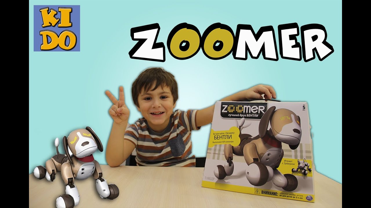 Зумер Zoomer веселая интерактивная собачка робот для детей распаковка обучаем и играем