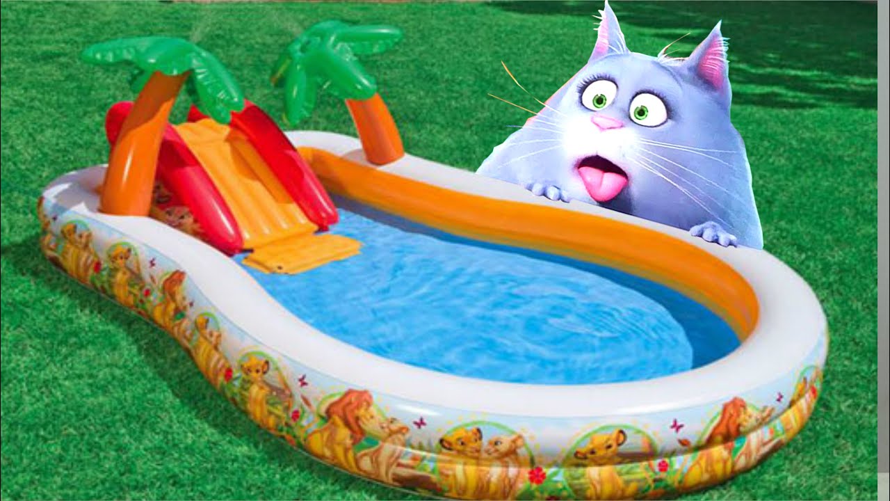 Новая серия кошка в бассейне