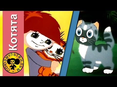 Сборник мультфильмов для детей про котят