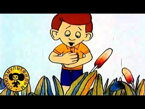 Мультфильмы: Мальчик и лягушонок